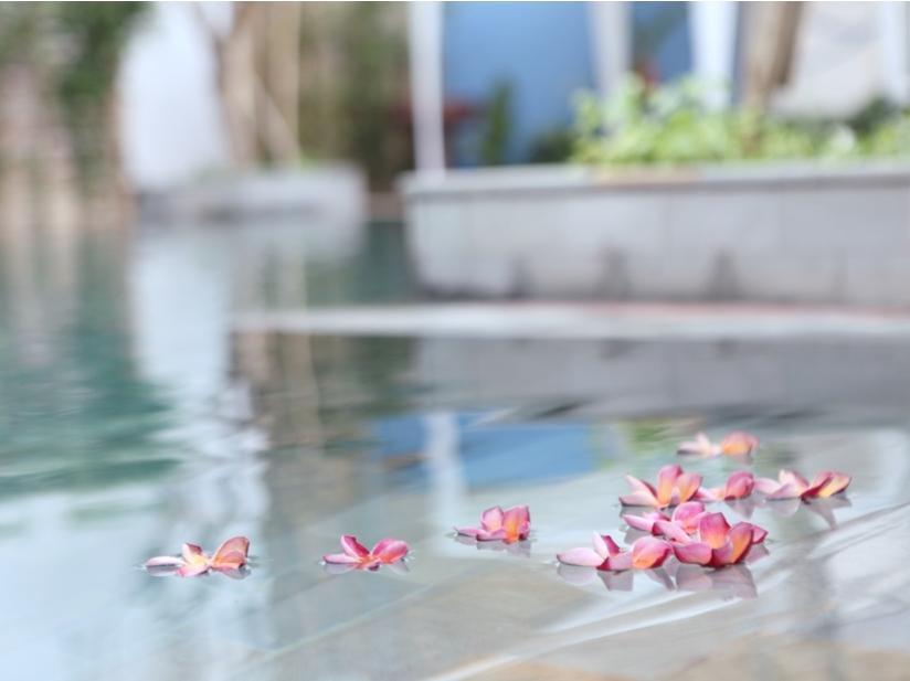 The Frangipani Living Arts Hotel And Spa Phnom Penh Eksteriør bilde